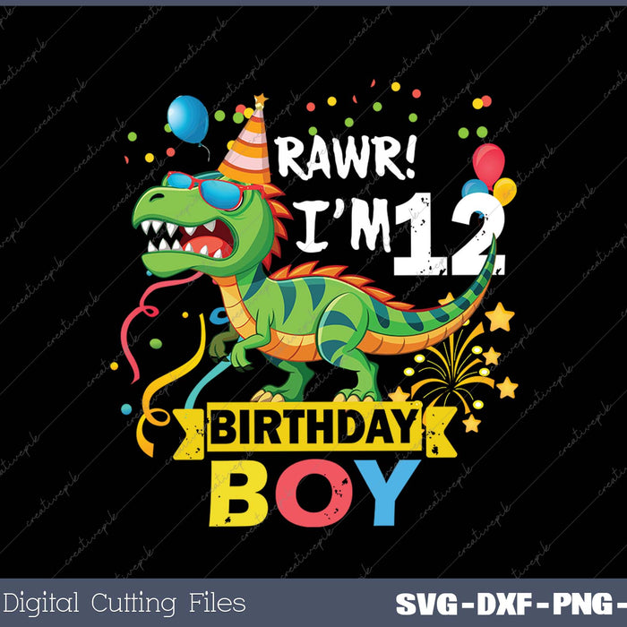 12 Year Old 12rd Birthday Boy T Rex Dinosaur