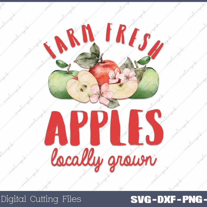 Apple Picking Locally Grown Farm Fresh Apples Farmer