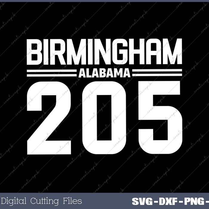 Birmingham Alabama AL 205 Vintage
