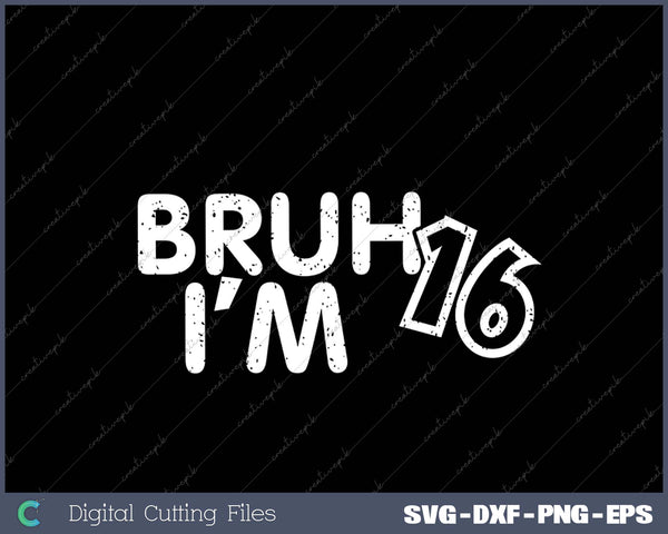 Bruh I'm 16 It's My 16 th Birthday 16 Year Old Birthday
