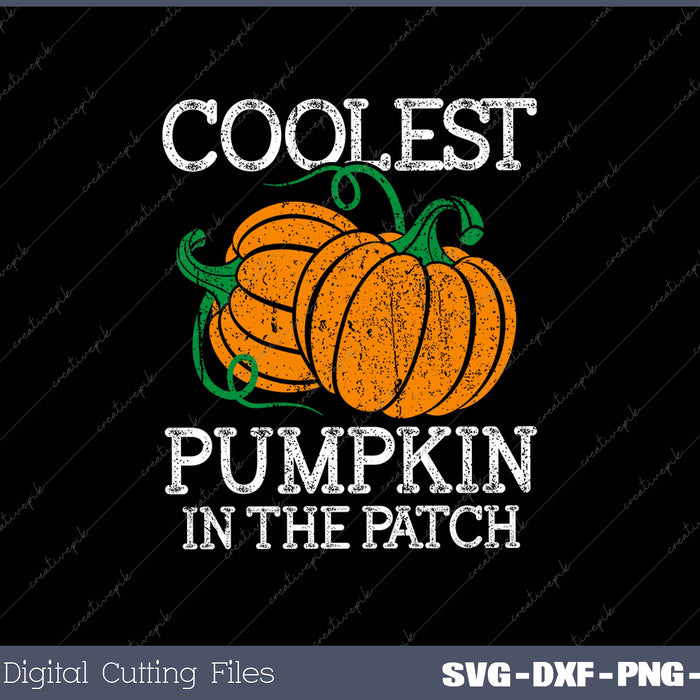 Coolest Pumpkin In The Patch SVG PNG Cutting Printable Files