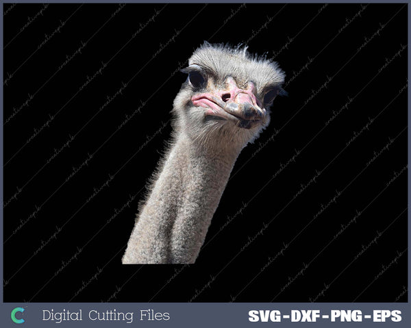 Funny Ostrich Face Zookeeper Safari Animal SVG PNG Printable Files