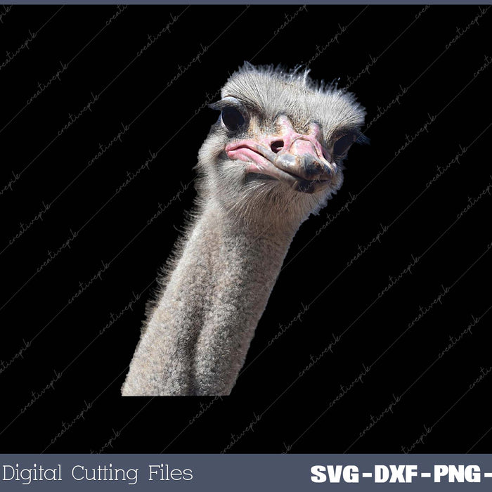 Funny Ostrich Face Zookeeper Safari Animal SVG PNG Printable Files