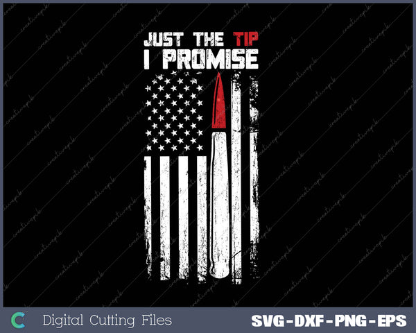 Just The Tip I Promise Veteran US Flag SVG PNG Cutting Printable Files