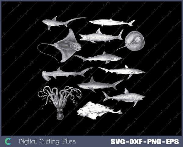 Ocean Wildlife Vintage Shark Octopus