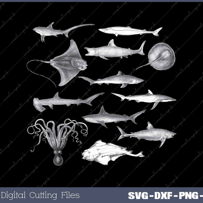 Ocean Wildlife Vintage Shark Octopus