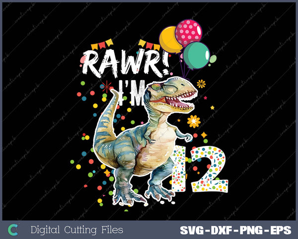 Rawr I'm 12 12th Birthday Party T Rex Dinosaur Gift for Boys