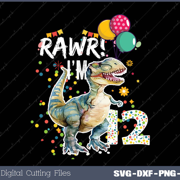 Rawr I'm 12 12th Birthday Party T Rex Dinosaur Gift for Boys