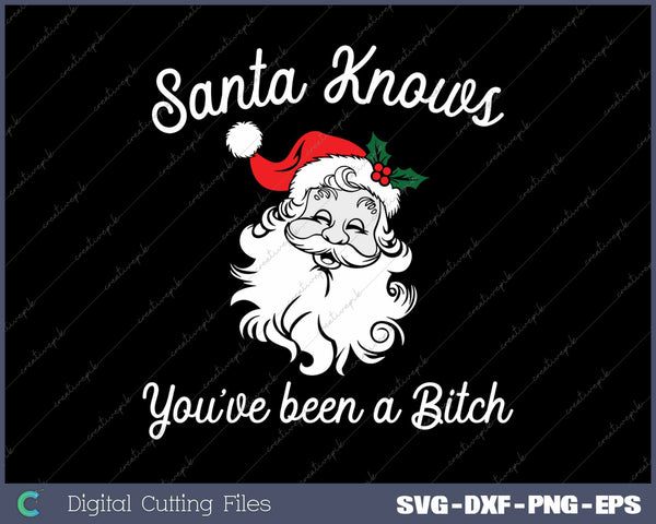 Santa Knows You've Been A Bitch Offensive Funny SVG PNG Cutting Printable Files