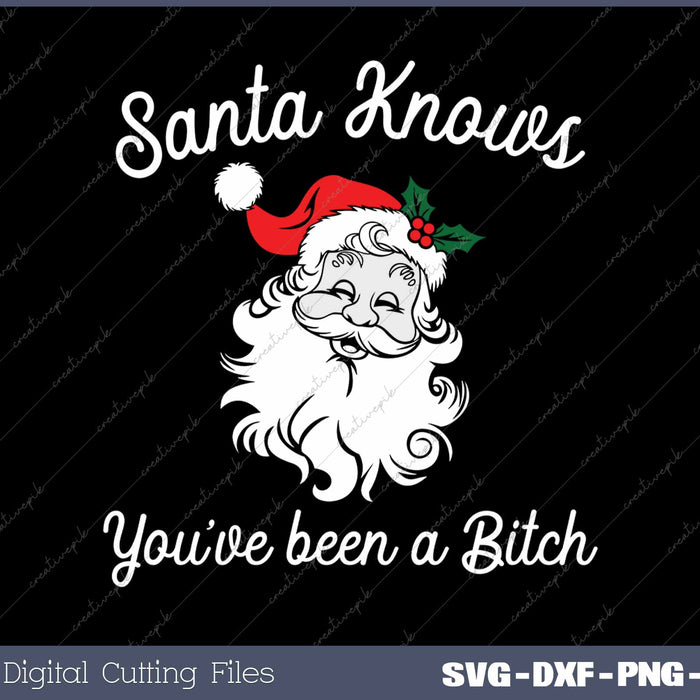 Santa Knows You've Been A Bitch Offensive Funny SVG PNG Cutting Printable Files