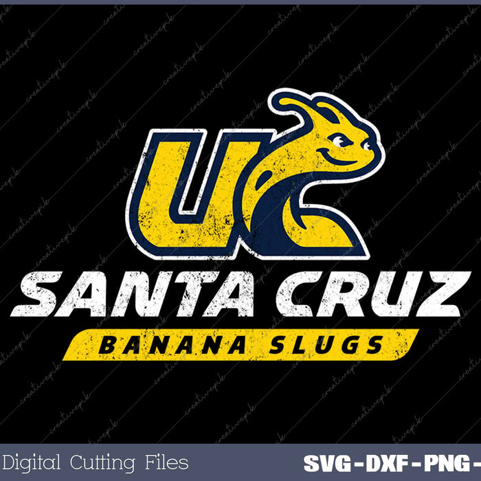 UC Santa Cruz UCSC Banana Slugs Distressed Primary