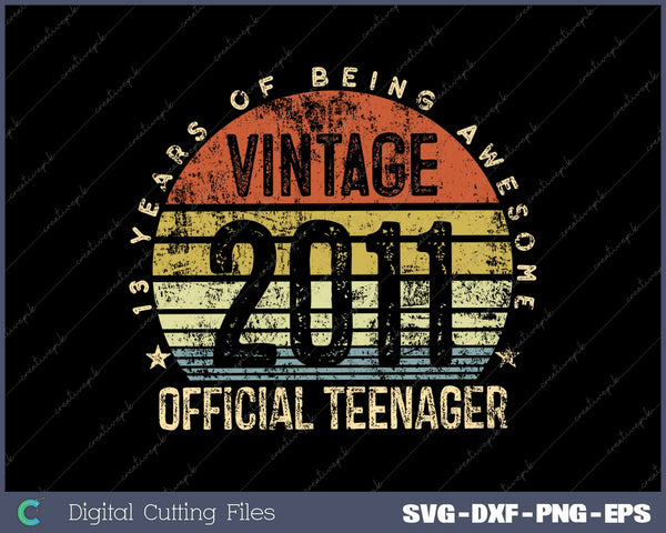 Vintage 2011 Official Teenager 13th Birthday 13 Years 