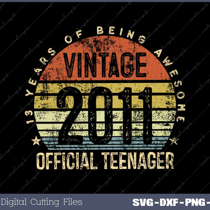 Vintage 2011 Official Teenager 13th Birthday 13 Years 