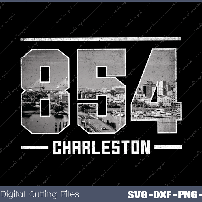 Vintage Charleston 854 Area Code South Carolina Skyline