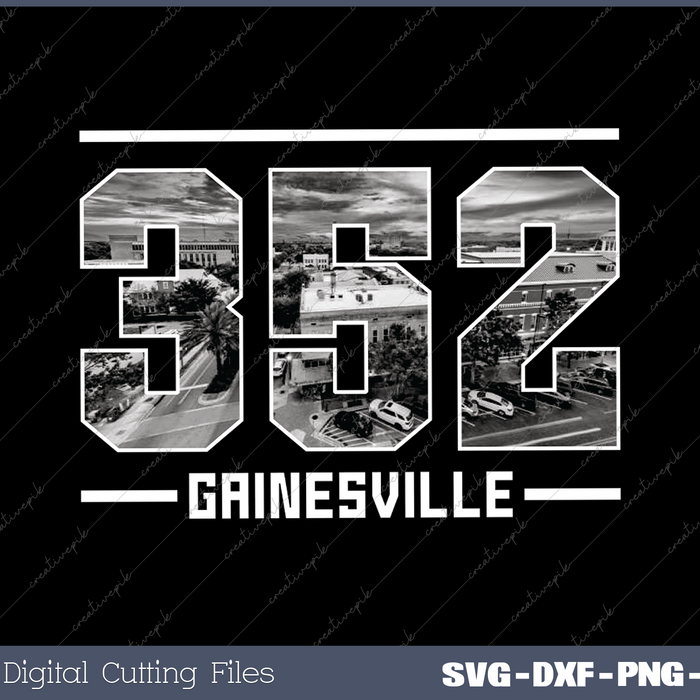 Vintage Gainesville 352 Area Code Florida Skyline