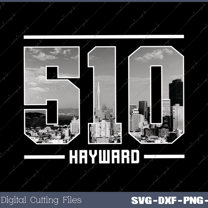 Vintage Hayward 510 Area Code California Skyline