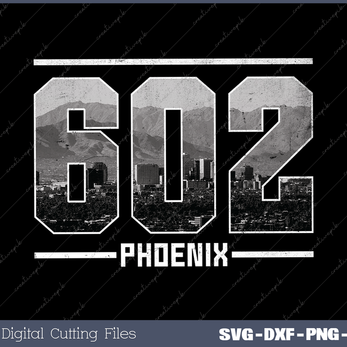 Vintage Phoenix 602 Area Code Arizona Skyline