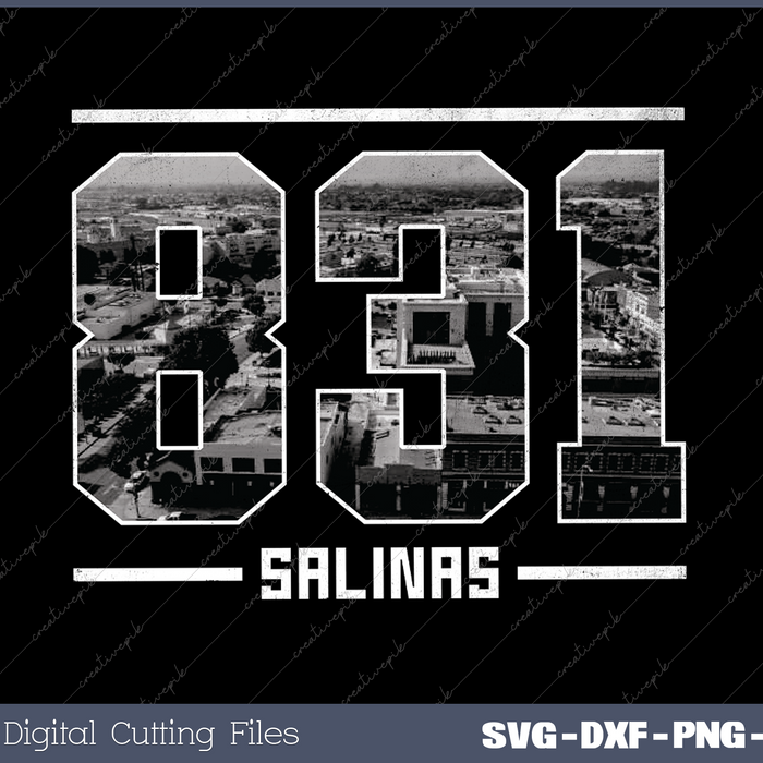 Vintage Salinas 831 Area Code California Skyline