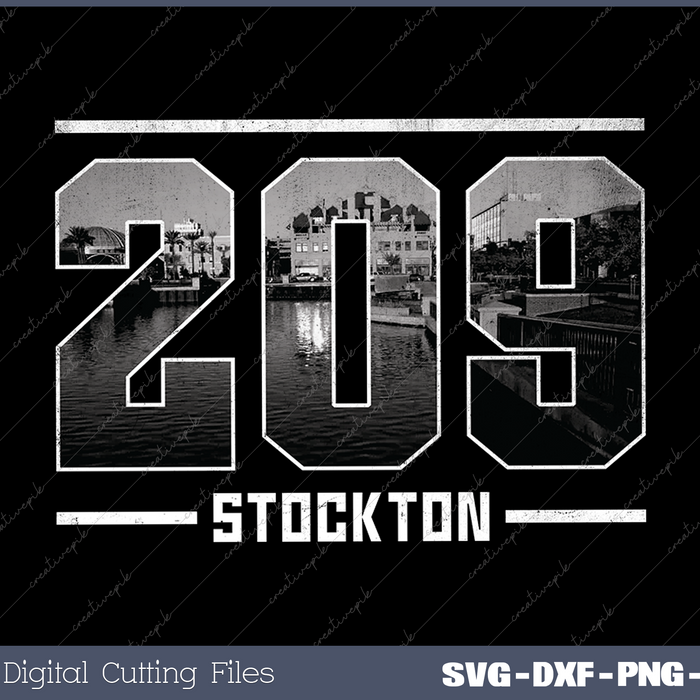 Vintage Stockton 209 Area Code California Skyline