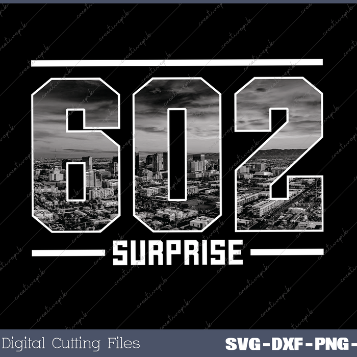 Vintage Surprise 602 Area Code Arizona Skyline