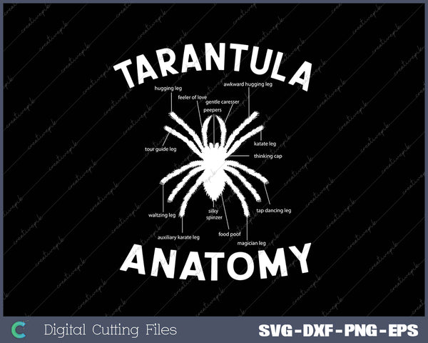 Tarantula Anatomy SVG PNG Cutting Printable Files