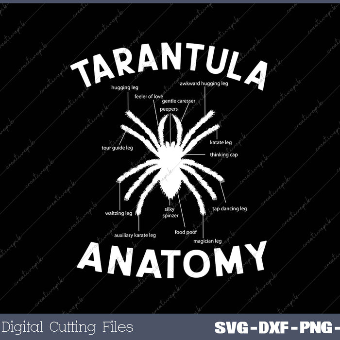 Tarantula Anatomy SVG PNG Cutting Printable Files